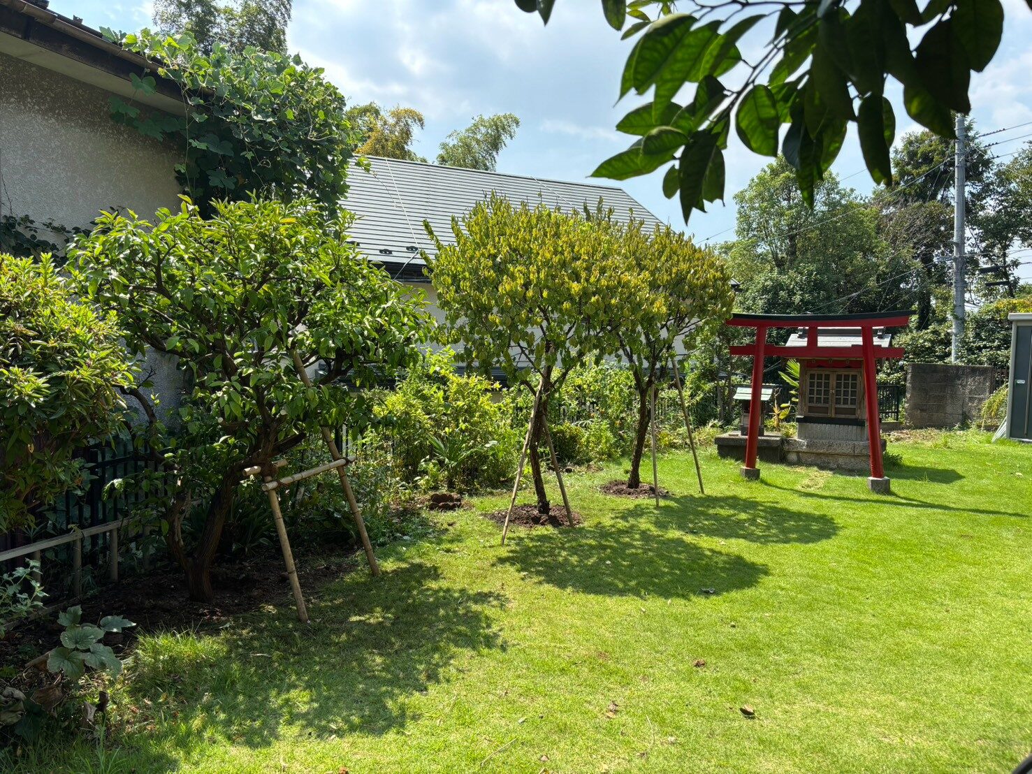 芝生と庭木が広がる庭